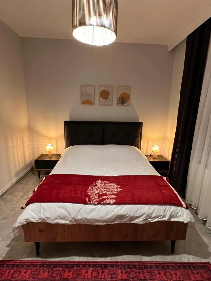 Peaceful And Perfectly Located Apartment In Cihangir Istanbul