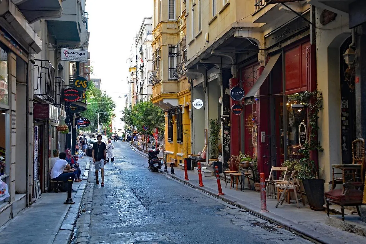 Peaceful And Perfectly Located Apartment In Cihangir Istanbul